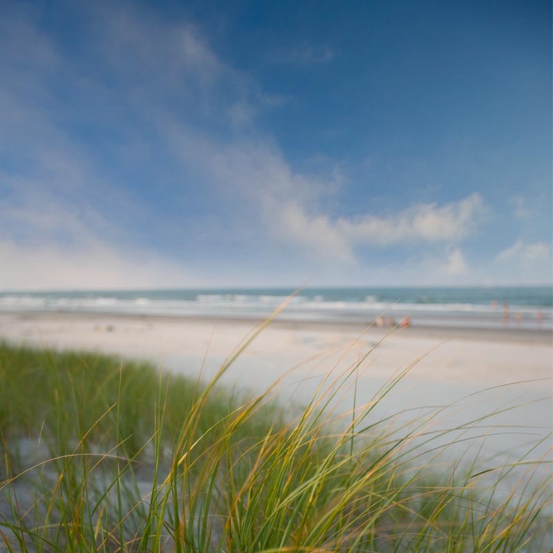 holden beach coastal living